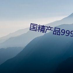 国精产品永久999免网页,网页版免安装，畅享便捷体验